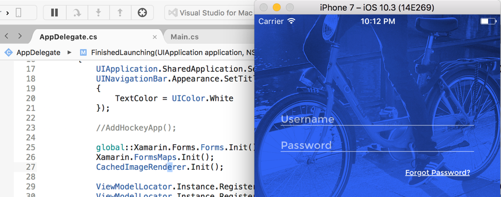Screenshot of cross-platform mobile development