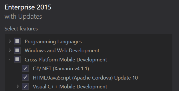screenshot of installer window