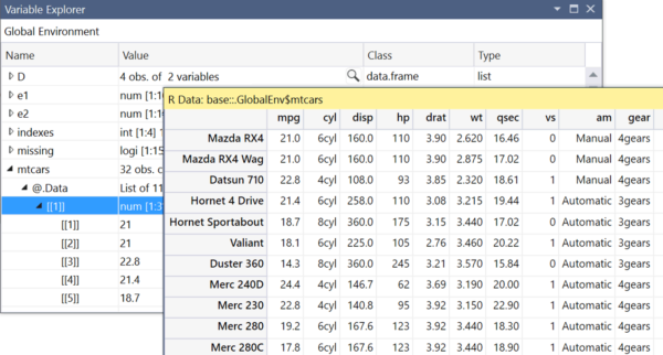 screenshot of the Variable Explorer